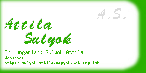 attila sulyok business card